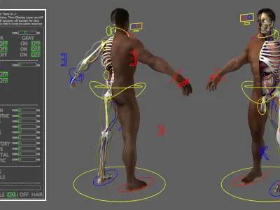 Ultimate Rigged African American Combo 3D model