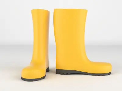 Wellington Boots 3D model