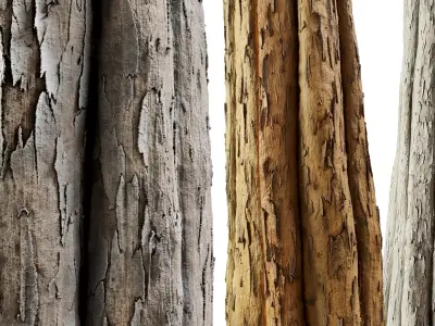 Bark 03 - Seamless Texture