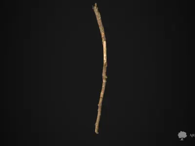 Wood stick 005 - Photogrammetry Low-poly 3D model