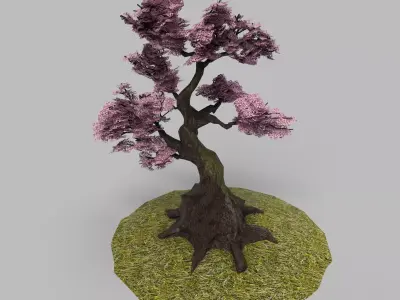 Blossom Sprint Tree  Low-poly 3D model