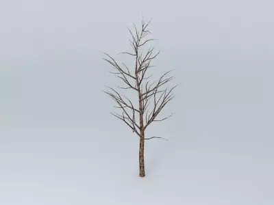 TREE SQUARE NISHINOMIA Free 3D model