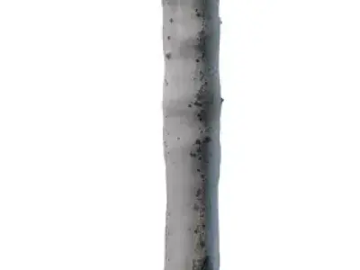 Realistic Desert Aloe Tree  Low-poly 3D model