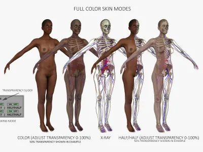 Ultimate Rigged African American Combo 3D model