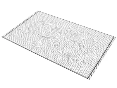 Tassels Carpet 3D model