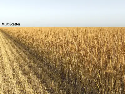  Wheat Field (+GrowFX) 