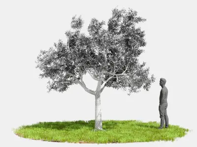 Model tree010 with looped wind animation 3D model