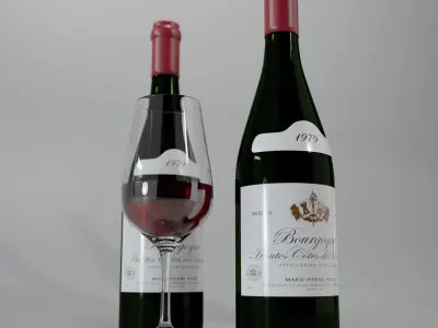 Burgundy red wine bottle with glass 3D model