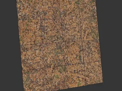 Ground autumn scan 3D model