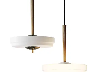 Trave Pendant Light from Bert Frank 3D model