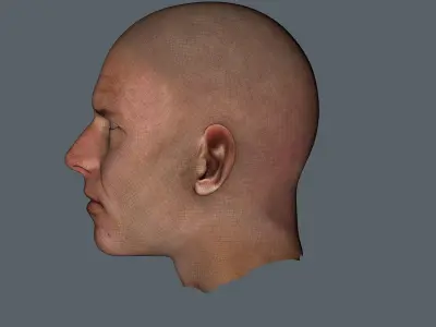 Young Harrison Ford 3D face 1980 Low-poly 3D model