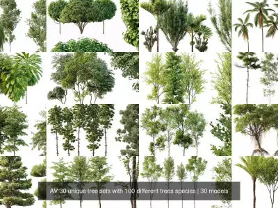 AV 30 unique tree sets with 100 different trees species 3D Model Pack