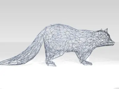 Raccoon Wireframe 3D model