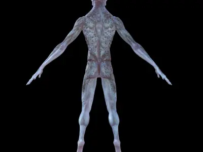 Alien 3D model 19