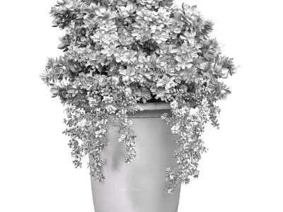 Petunia flower bed bouquet plant in decorative vase pot 3D model