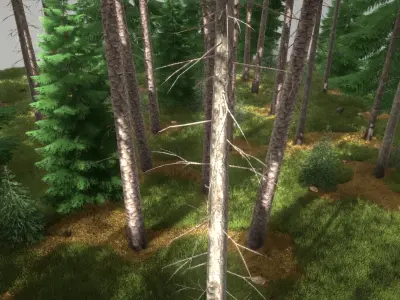 Spruce Forest Scene Low-poly 3D model