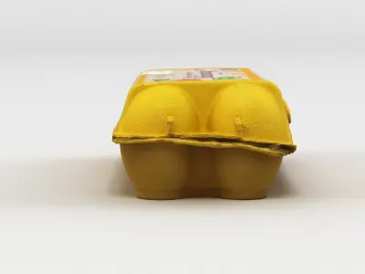 Egg Carton 3D model