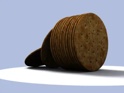 Salty cracker biscuit 3D model