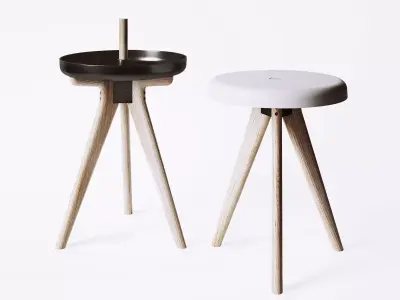 Flip Around 3D model