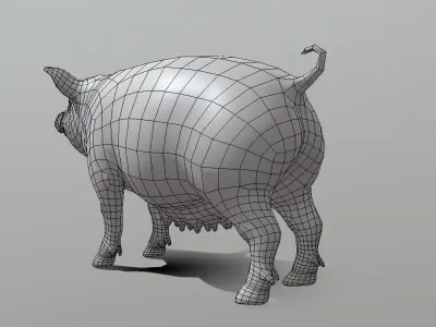 Female Pig BaseMesh - Topology + UV Map