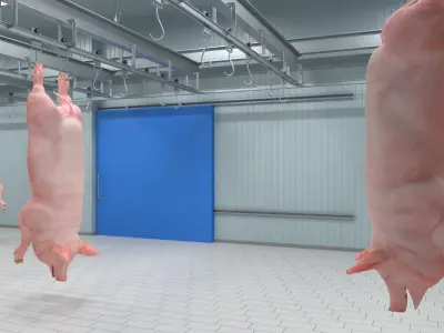  Pork Carcass Cold Storage Room with Hook Rail 