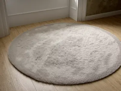 Round Grey Rug 3D model