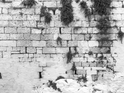 Aged Limestone Block Wall With Natural Moss  Texture