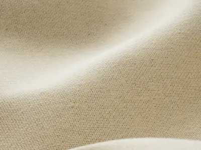 Linen fabric 02 Texture
