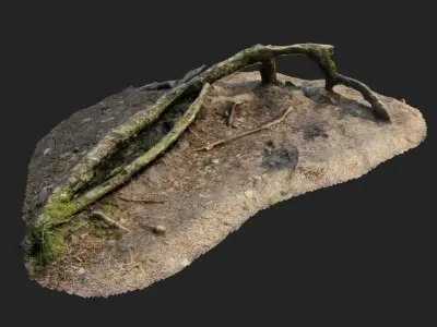 nature forest roots 001 3D model