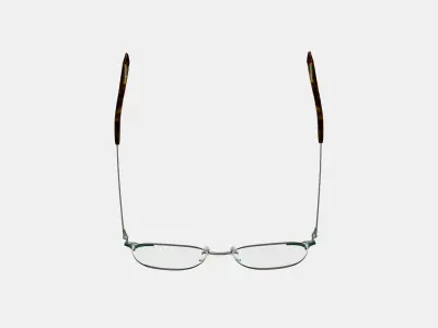 Heyward Eyeglasses in Antique Silver with Pine 3D model