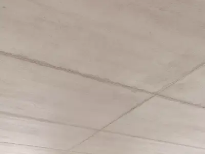 Monolithic Concrete Ceiling - slab joints 01 Texture