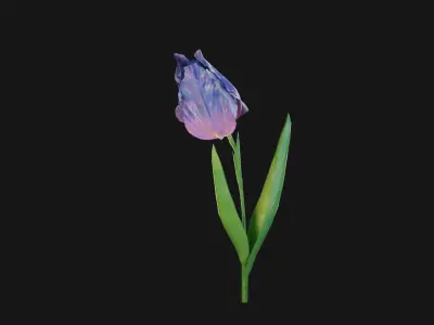 Animated Low Poly Iris Flower Low-poly 3D model