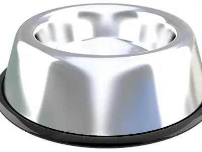 Stainless Steel Dog Bowl 3D model