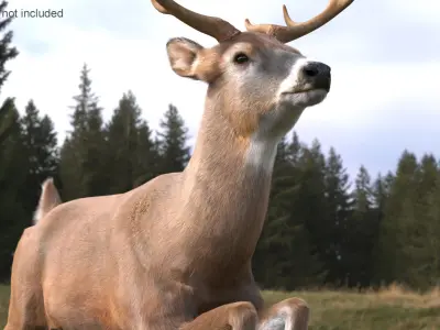  Whitetail Deer Running Pose Fur 