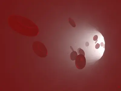 Red Blood cells in a vessel blood stream 3D model