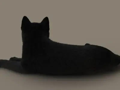  Cat (2) (Black) (RIG) (FUR) 