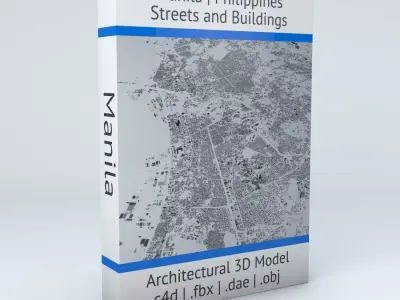 Manila Streets and Buildings 3D model