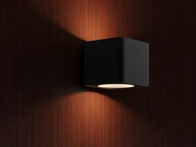 Florida mahogany Texture