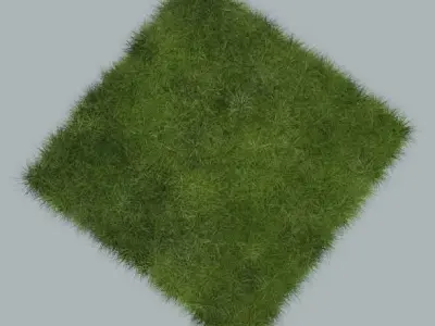 Grass 3D model