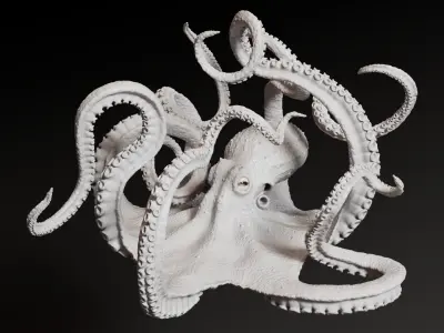  Octopus Multicolor Rigged Animated 