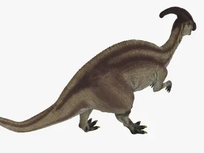  Parasaurolophus Dinosaur Rigged for Maya 