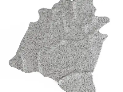 Zebra rug 03 3D model