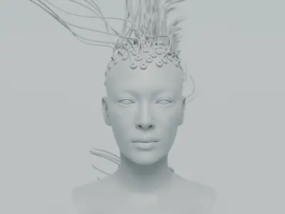 Cyborg Bionic Hair 3D model