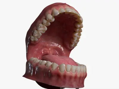  Mouth Rigged 3D 