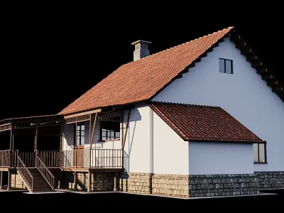 Village House 3D model