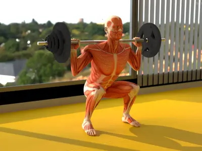  Anatomy Male Muscular System Squats Animated Rigged for Maya 