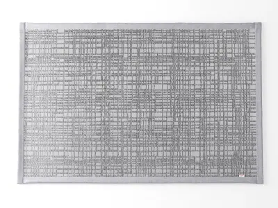 Graficule checkered rug 3D model
