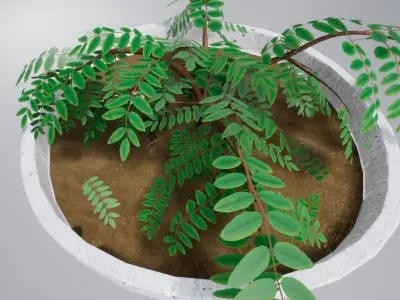 Street plant Low-poly 3D model