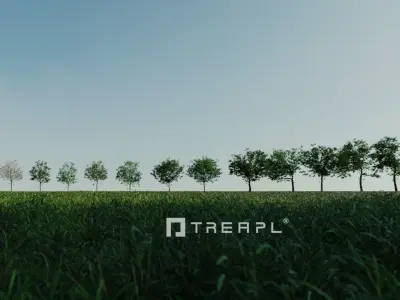 14X Apple tree - Including spring blossom 3D model