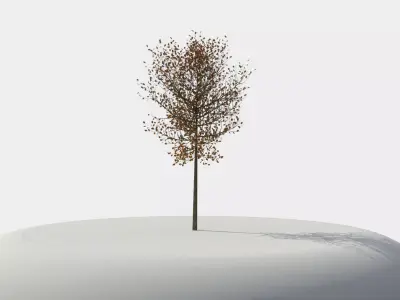 Tree 3D model